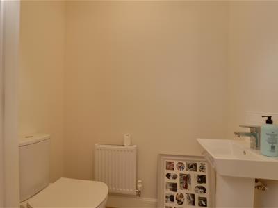 Picture 14